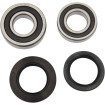 Set rulment spate roată OEM replacement PIVOT WORKS PWRWK-Y08-421 Set rulment spate roată OEM replacement PIVOT WORKS PWRWK-Y08-421 thumb