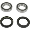 Set rulment roată spate OEM înlocuire PIVOT WORKS PWRWK-Y09-000 Set rulment roată spate OEM înlocuire PIVOT WORKS PWRWK-Y09-000 thumb