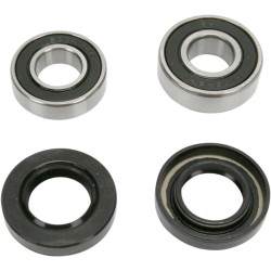 Set rulment spate roată OEM replacement PIVOT WORKS PWRWK-Y25-008 Set rulment spate roată OEM replacement PIVOT WORKS PWRWK-Y25-008