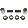 Set pentru braț oscilant oțel înlocuire OEM PIVOT WORKS PWSAK-K01-521
