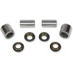 Set pentru braț oscilant oțel înlocuire oem PIVOT WORKS PWSAK-K08-008 Set pentru braț oscilant oțel înlocuire oem PIVOT WORKS PWSAK-K08-008 thumb