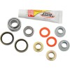 Set amortizor înlocuire OEM spate PIVOT WORKS PWSHK-T03-521