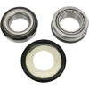 Set rulmenți pentru coloană de direcție OEM înlocuire PIVOT WORKS PWSSK-Y05-421