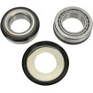 Set rulmenți pentru coloană de direcție OEM înlocuire PIVOT WORKS PWSSK-Y05-421 thumb