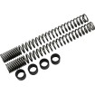 Arcuri pentru furcă M8 INVERTED PROGRESSIVE SUSPENSION 11-1156 thumb
