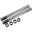 Arcuri pentru furcă M8 INVERTED PROGRESSIVE SUSPENSION 11-1156 thumb