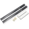 Arc progresiv pentru furcă față PROGRESSIVE SUSPENSION PROGRESSIVE SUSPENSION 11-1131