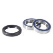 Set rulmenți pentru roata din față YZ65 1 PROX 23.S117036 Set rulmenți pentru roata din față YZ65 1 PROX 23.S117036 thumb