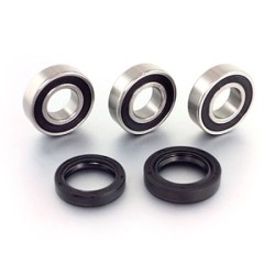 Set rulmenți roată spate CR125/2 PROX 23.S112002