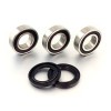 Set rulmenți roată spate RM125/2 PROX 23.S112055