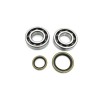 Set de semeringuri pentru rulment arbore cotit PROX 23.CBS60013
