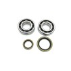 Set de semeringuri pentru rulment arbore cotit PROX 23.CBS60013 Set de semeringuri pentru rulment arbore cotit PROX 23.CBS60013 thumb