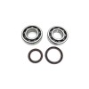 Set de semeringuri pentru rulment arbore cotit PROX 23.CBS73050