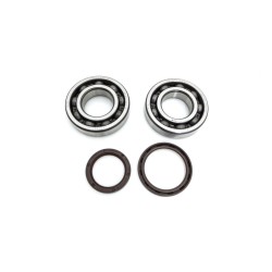Set de semeringuri pentru rulment arbore cotit PROX 23.CBS73050
