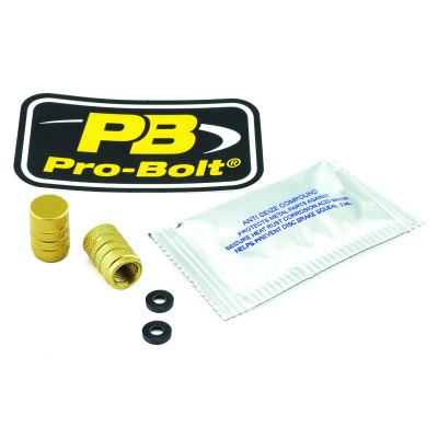 Capace din aluminiu pentru supape set x2 aurii ALTELE 2DCAP10G