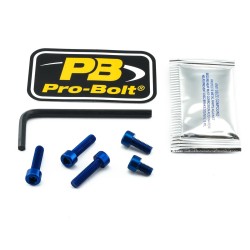 Set capac combustibil SCR BL ALTELE TSU172B Set capac combustibil SCR BL ALTELE TSU172B