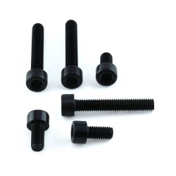 Set capac combustibil SCR negru ALTELE TTR123BK Set capac combustibil SCR negru ALTELE TTR123BK