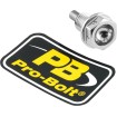 Șurub de drenaj PL 12X1.5X15 SL ALTE ALSUMP1215MAGS Șurub de drenaj PL 12X1.5X15 SL ALTE ALSUMP1215MAGS thumb