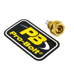 Șurub de scurgere PL 14X1.5X15 GD ALTE ALSUMP1412MAGG Șurub de scurgere PL 14X1.5X15 GD ALTE ALSUMP1412MAGG