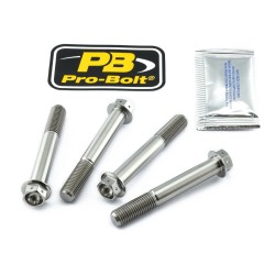 Set de șuruburi pentru montarea etrierului de frână TIT RC ALTELE TIFBMON190R Set de șuruburi pentru montarea etrierului de frână TIT RC ALTELE TIFBMON190R