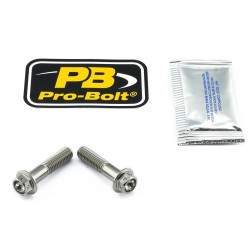 Set de șuruburi pentru montaj etrier frână TIT RC ALTELE TIFBMON220R Set de șuruburi pentru montaj etrier frână TIT RC ALTELE TIFBMON220R