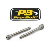 Etrier de frână PIN FR 2 TIT ALTE TIPINBP001-2Z1
