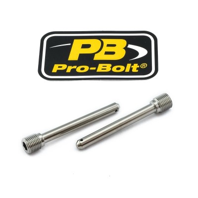Etrier de frână PIN FR 2 TIT ALTE TIPINBP001-2Z1 Etrier de frână PIN FR 2 TIT ALTE TIPINBP001-2Z1