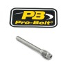 Știft etrier frână RR TIT RC ALTE TIPINBP003RZ2