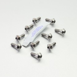 Set de șuruburi pentru disc de frână titan ALTELE TI10DISCR1R6