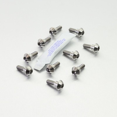 Set de șuruburi pentru disc de frână titan ALTELE TI10DISCR1R6