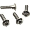 Set de șuruburi pentru disc de frână titanium ALTE TI4DISCTRIFR