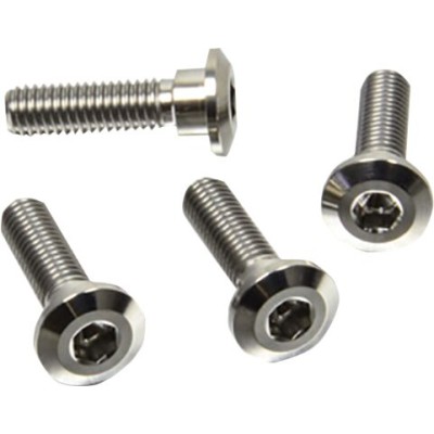 Set de șuruburi pentru disc de frână titanium ALTE TI4DISCTRIFR