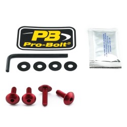 Set de șuruburi pentru ecran SCR KIT SCREEN 4 RD ALTELE SK110R Set de șuruburi pentru ecran SCR KIT SCREEN 4 RD ALTELE SK110R
