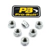 Piuliță pentru roată dințată AL 10X1.25 6 SL ALTE SPN10DS