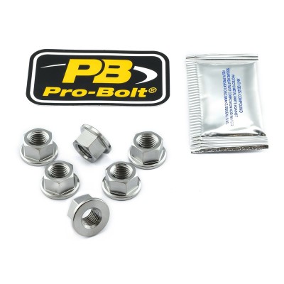 Piuliță pentru roată dințată TIT 10X1.25 6 ALTE TI6SPN10