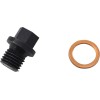 Șurub de drenaj motor QUAD LOGIC 100-2389-PU