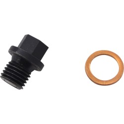 Șurub de drenaj motor QUAD LOGIC 100-2389-PU