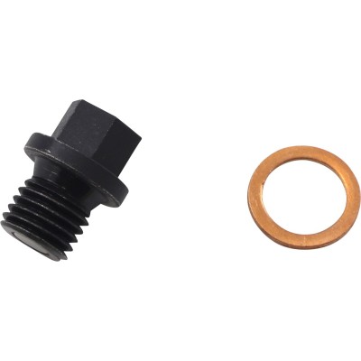 Șurub de drenaj motor QUAD LOGIC 100-2389-PU
