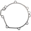 Garnitură capac stator RICK'S MOTORSPORT ELECTRICS 25-208