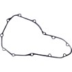 Garnitură stator KAWASAKI RICK'S MOTORSPORT ELECTRICS 25-212 Garnitură stator KAWASAKI RICK'S MOTORSPORT ELECTRICS 25-212 thumb
