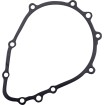 Garnitură stator KAWASAKI RICK'S MOTORSPORT ELECTRICS 25-213 Garnitură stator KAWASAKI RICK'S MOTORSPORT ELECTRICS 25-213 thumb