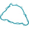 Garnitură stator TRIUMPH RICK'S MOTORSPORT ELECTRICS 25-005