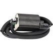 Bobină de aprindere RICK'S MOTORSPORT ELECTRICS 23-104 thumb