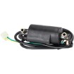 Bobină de aprindere RICK'S MOTORSPORT ELECTRICS 23-107 thumb