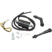 Bobină de aprindere RICK'S MOTORSPORT ELECTRICS 23-102 Bobină de aprindere RICK'S MOTORSPORT ELECTRICS 23-102 thumb