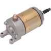 Starter OEM RICK'S MOTORSPORT ELECTRICS 61-197