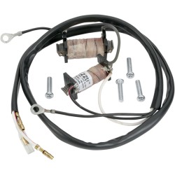 Set de restaurare a statorului RICK'S MOTORSPORT ELECTRICS 22-780 Set de restaurare a statorului RICK'S MOTORSPORT ELECTRICS 22-780
