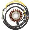 Stator stil OEM RICK'S MOTORSPORT ELECTRICS 21-567