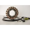 Stator YAMAHA RICK'S MOTORSPORT ELECTRICS 21-428