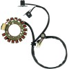 Stator stil OEM RICK'S MOTORSPORT ELECTRICS 21-900